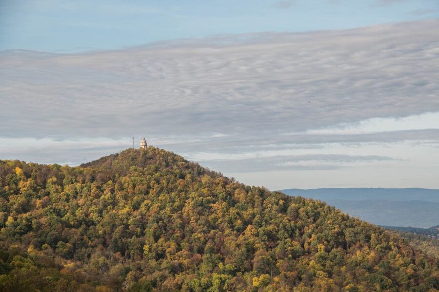 3Hour Outdoor Budapest Normafa Hike&History With a Historian - Why Normafa makes a good Budapest side trip