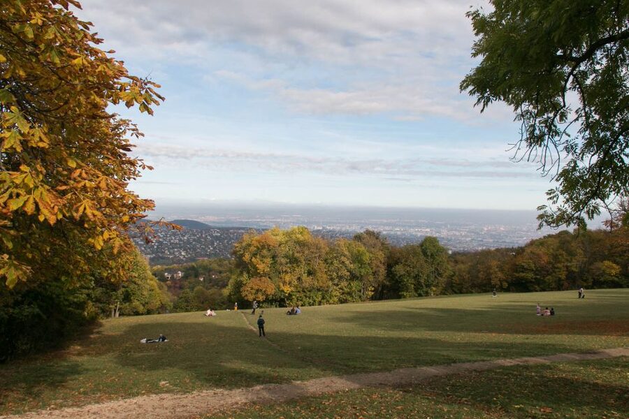 3Hour Outdoor Budapest Normafa Hike&History With a Historian - The bus ride to Normafa