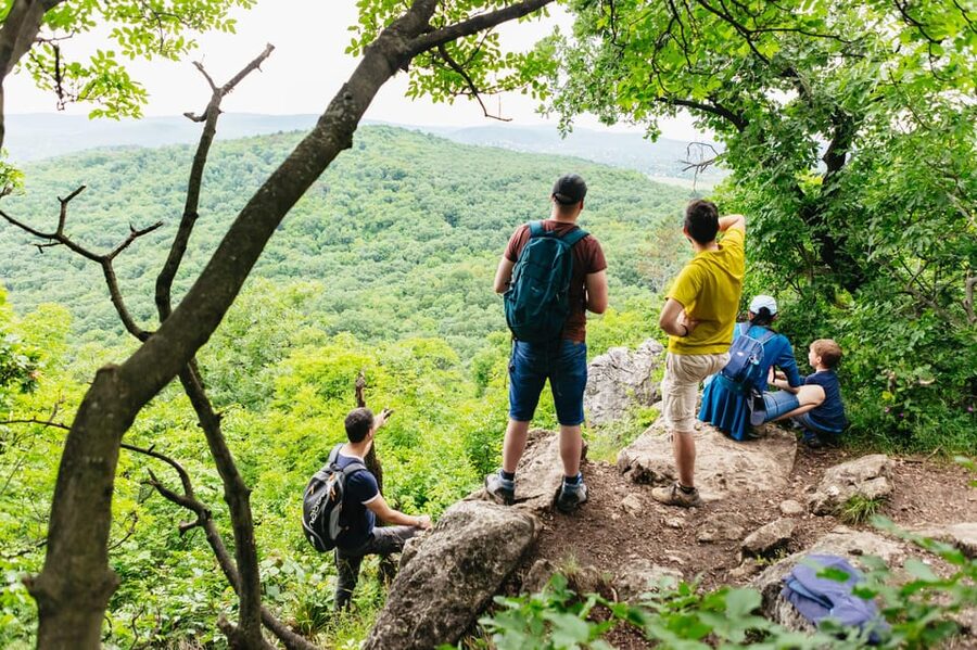 Budapest: Buda Hills Guided Hiking Tour with Optional Lunch - The Elizabeth Lookout Tower and the nearby cave