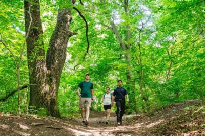 Buda Hills Guided Hiking Tour with Optional Lunch