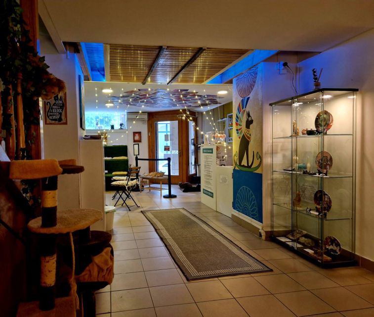 Budapest: Cat Museum Budapest Entry Ticket - The Jungle Room and feline facts