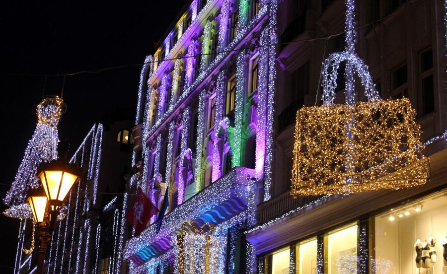 Budapest Christmas Walking Tour w Entry to Basilica - The Danube Corso and views toward Buda