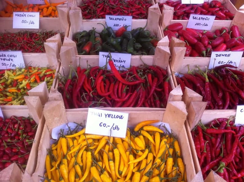 Budapest Culinary & Wine Walk—Budapest’s Signature Food Tour - Starting inside Budapest’s Central Market Hall