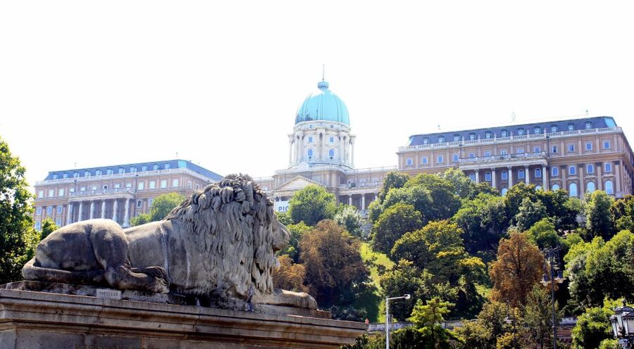 Budapest: Guided City Tour by E-Bike - What the guides add to the ride