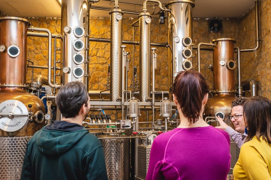 Budapest: Hungarian Whisky, Gin, and Pálinka Tasting - Key points at a glance