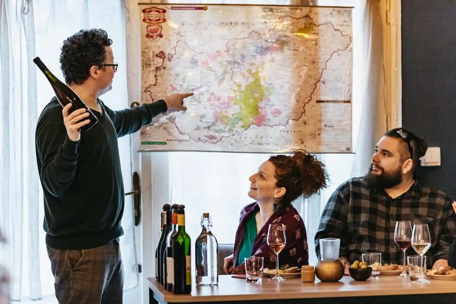 Budapest: Hungarian Wine Tasting with 7 Wines and Tapas - What the guide adds to the experience