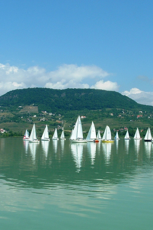 Budapest: Lake Balaton & Herend Porcelain Private Day Tour - Who should book this experience?