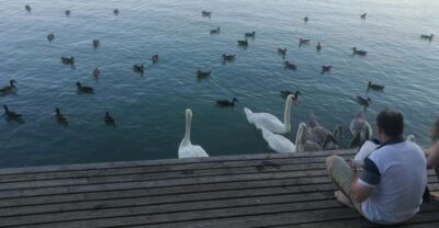 Lake Balaton & Herend Porcelain Private Day Tour