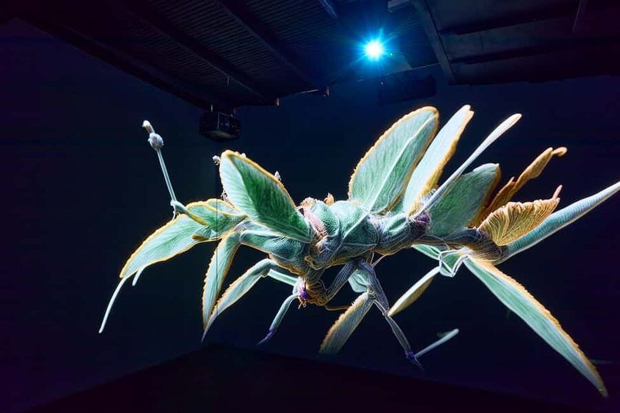 Budapest: Light Art Museum - Immersive New Media Experience - What could be better