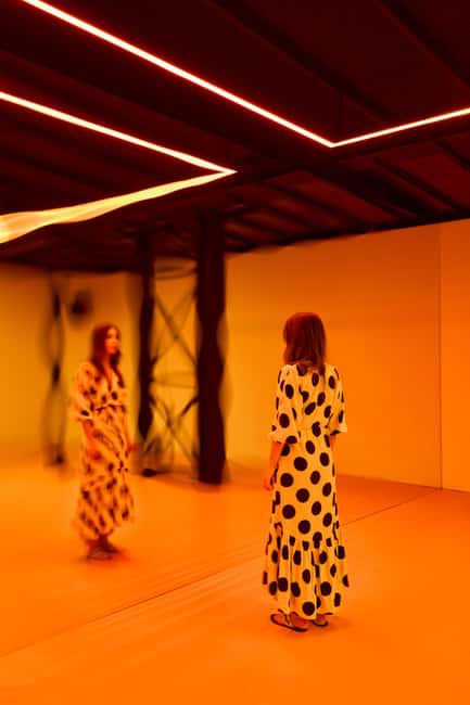 Budapest: Light Art Museum - Immersive New Media Experience - Family appeal, with one important warning
