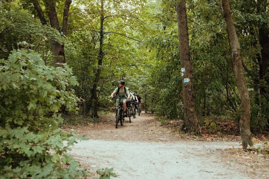 Budapest Peaks: Off-Road eBike Tour - Leaving central Budapest for the Buda hills