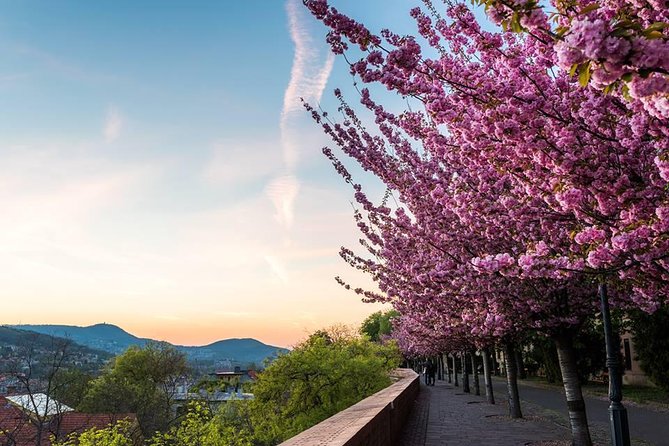 Budapest Private Walking Tour - Why this four-hour tour works well early in your stay