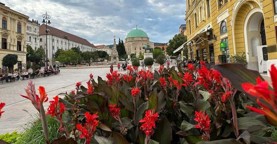 Budapest: Private Walking Tour with a Local Guide - Parliament and the Danube views