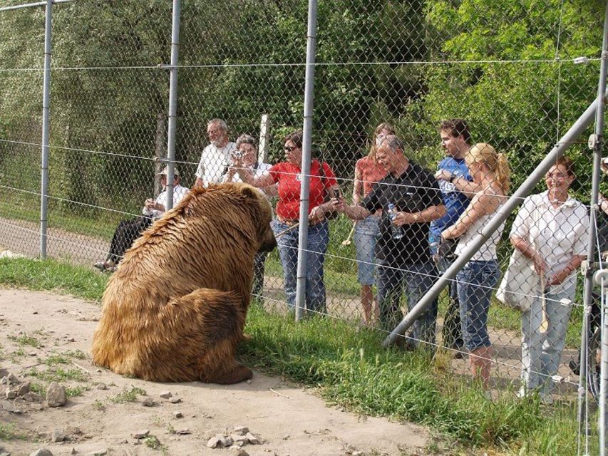 Budapest: Transport & Guided Tour of Bear and Wolf Sanctuary - Key points to know before you go