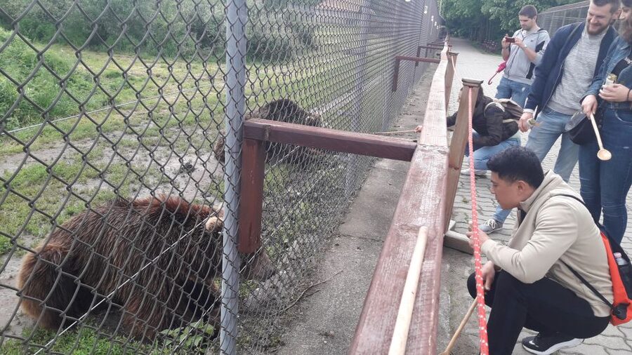 Budapest: Transport & Guided Tour of Bear and Wolf Sanctuary - Leaving Budapest from Batthyány tér