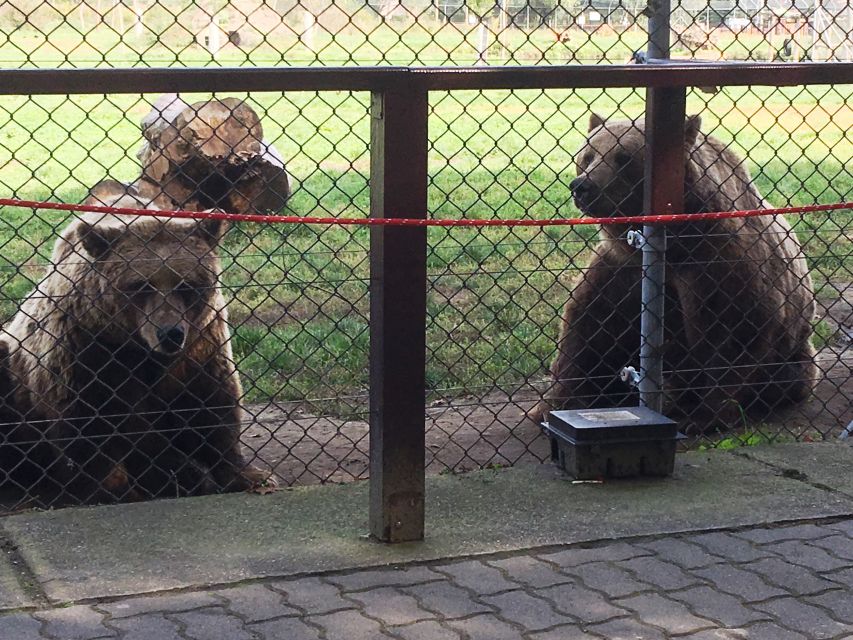Budapest: Transport & Guided Tour of Bear and Wolf Sanctuary - Is $93 a fair price?