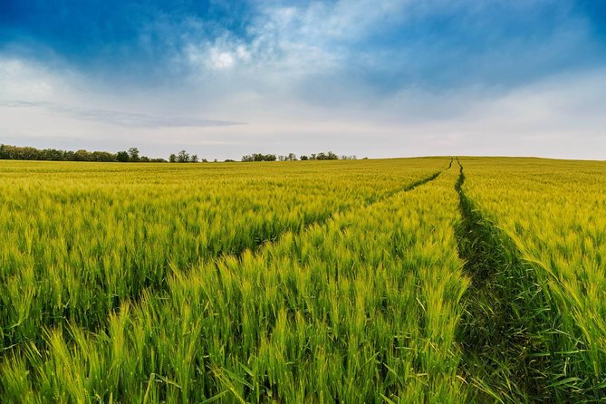 Budapest-Vienna One-Way Sightseeing Transfer - Bratislava: a compact introduction to another capital