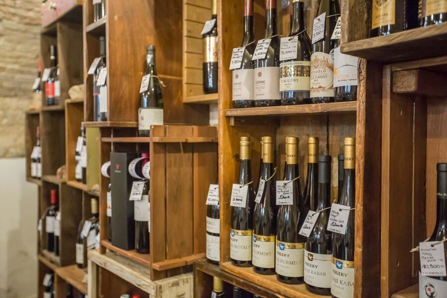 Budapest: Wine, Cheese, and Charcuterie Tasting - The first glasses: building a map of Hungarian wine