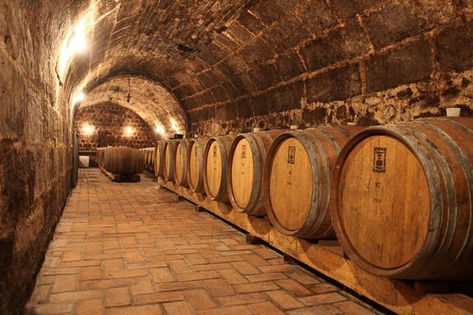 Countryside Half-day Gastro-Wine Tour from Budapest Meal & pickup - Key points at a glance