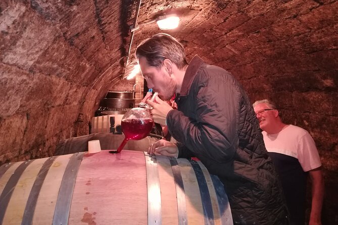 Countryside Half-day Gastro-Wine Tour from Budapest Meal & pickup - Is $99.16 good value?