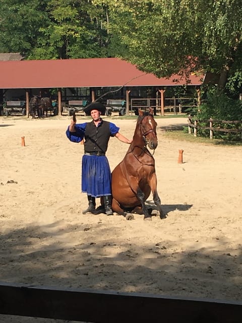 Countryside ranch, horse show & lunch - A 15-minute carriage ride around the ranch