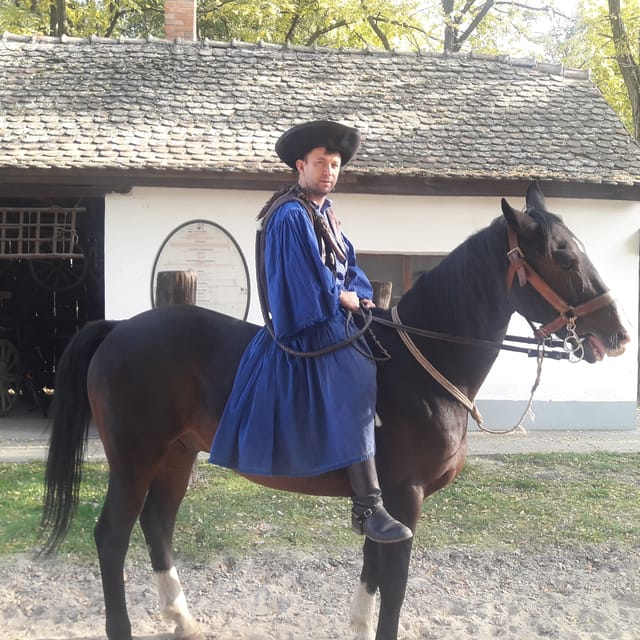 Countryside ranch, horse show & lunch - What $127 includes, and where the value lies