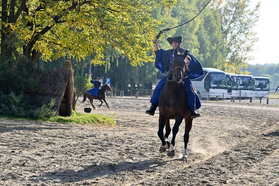Countryside ranch, horse show & lunch - Who will enjoy this ranch outing