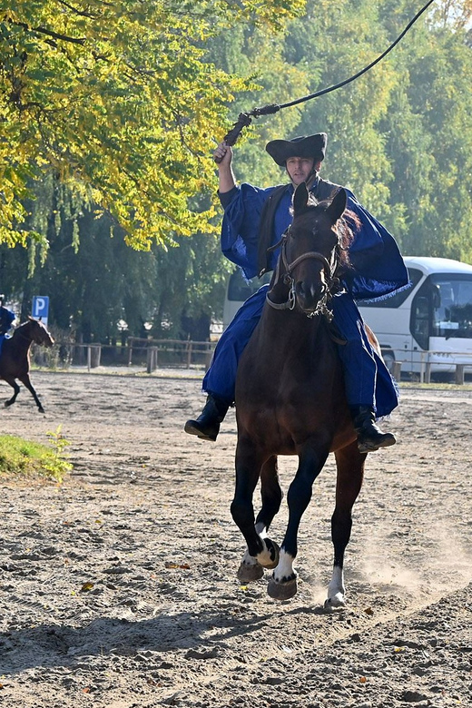 Countryside ranch, horse show & lunch - Timing, language, and booking flexibility