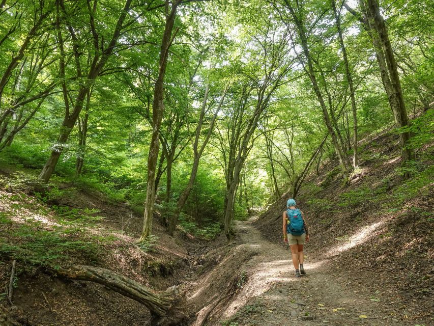 Danube Bend Hiking and Kayaking Adventure - The climb to Julianus Lookout Tower