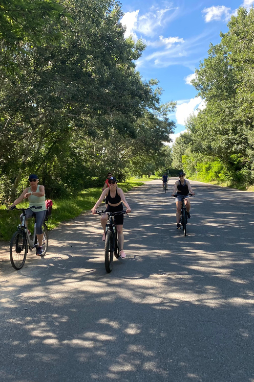 E-Bike Tour to Szentedre - Római Part shows Budapest at river level