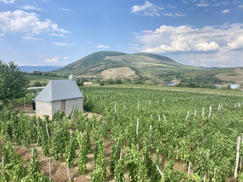 Eger: Countryside, Culture, and Wine Private Tour - Baroque Eger on foot