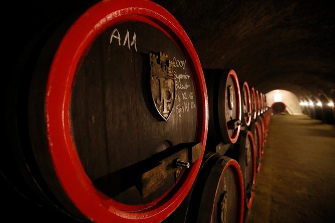 Eger Private Full-Day Wine Tasting Tour and Sightseeing from Budapest - Who Will Enjoy This Nine-Hour Outing