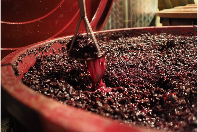 Etyek Private Half-Day Wine Tasting Tour from Budapest - The Second Winery: A Different View of Etyek