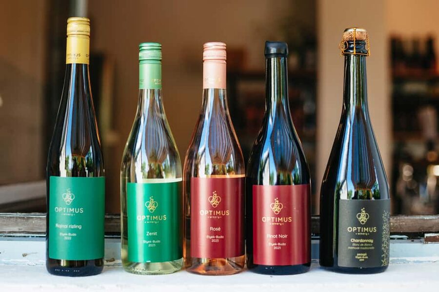 From Budapest: Etyek Wine Tasting Tour with 3-Course Meal - What the guides add to the afternoon
