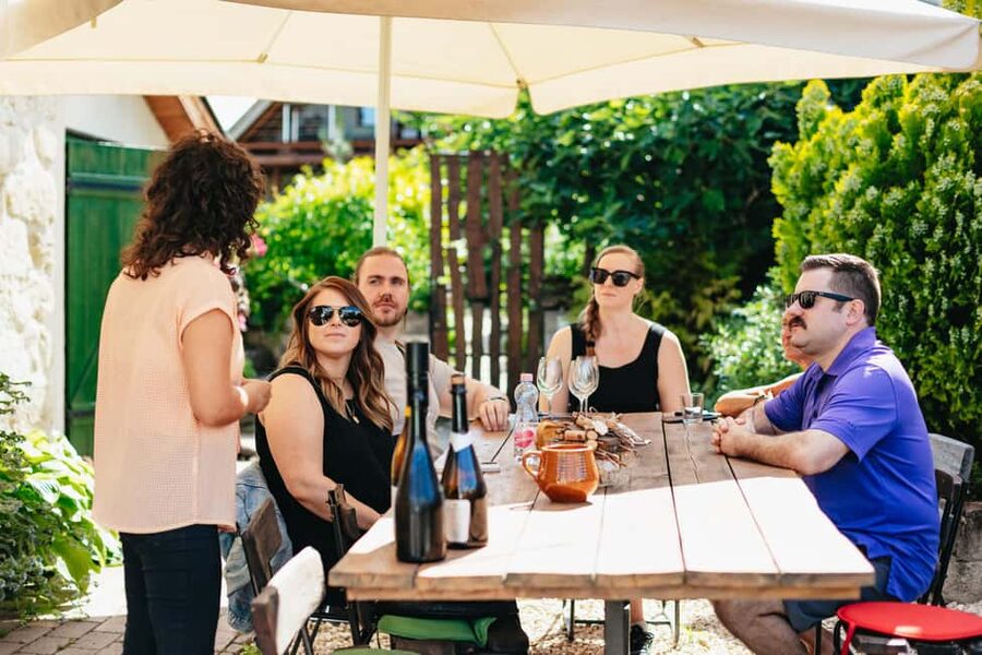 From Budapest: Etyek Wine Tasting Tour with 3-Course Meal - The minibus ride and Budapest pickup