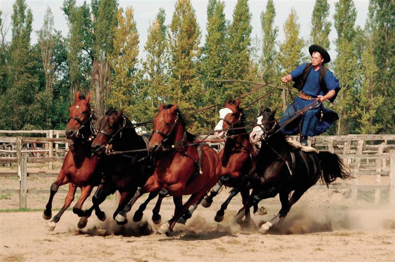 From Budapest: Full-Day Puszta Tour with Lunch and Show - Key points to know before booking