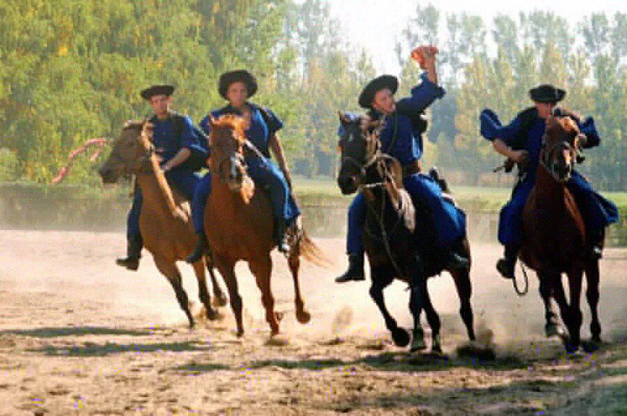 From Budapest: Full-Day Puszta Tour with Lunch and Show - Why this makes a good break from Budapest