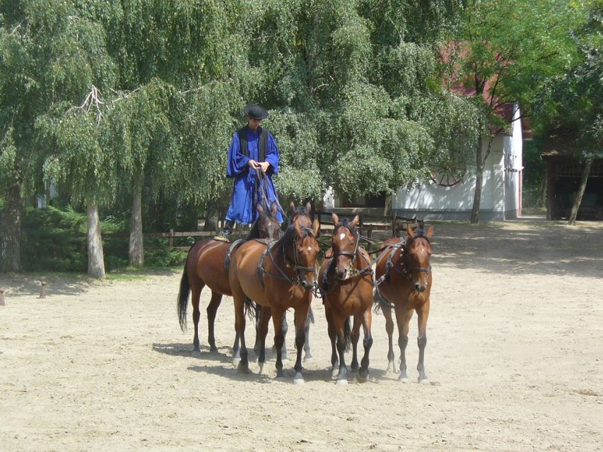 From Budapest: Full-Day Puszta Tour with Lunch and Show - Arriving at the Lajosmizse ranch