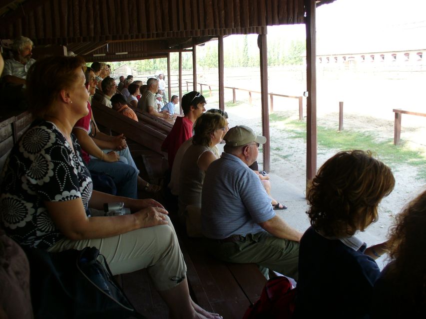 From Budapest: Full-Day Puszta Tour with Lunch and Show - A three-course Hungarian lunch with wine