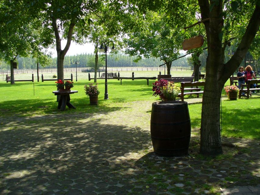 From Budapest: Full-Day Puszta Tour with Lunch and Show - The 90-minute ride from Budapest
