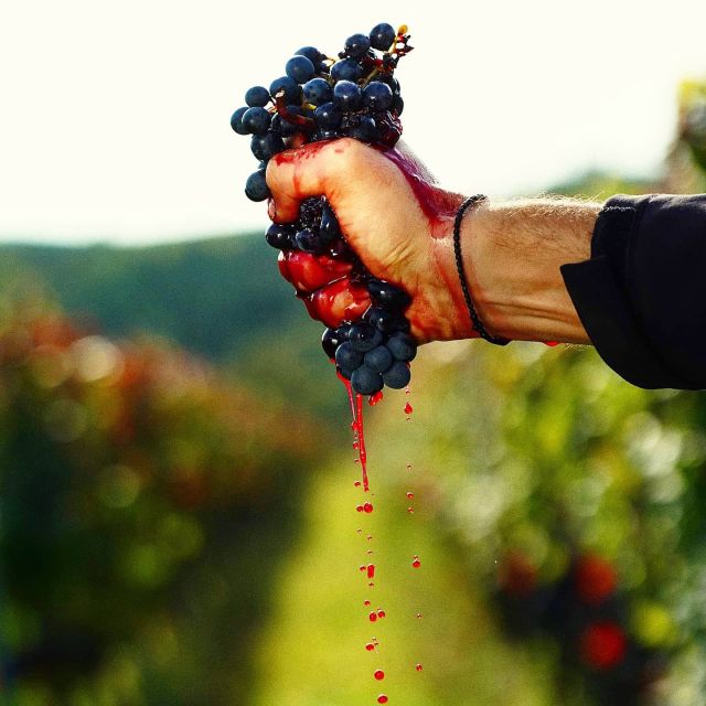 From Budapest: Guided Tour of Eger with Wine Tasting - Who will get the most from this day