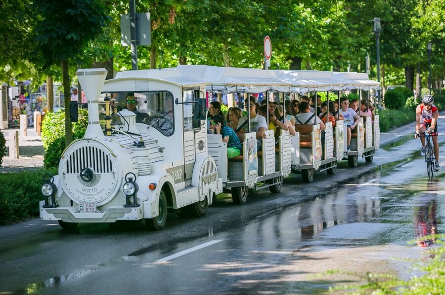 From Budapest: Lake Balaton Day Tour - One hour on Lake Balaton