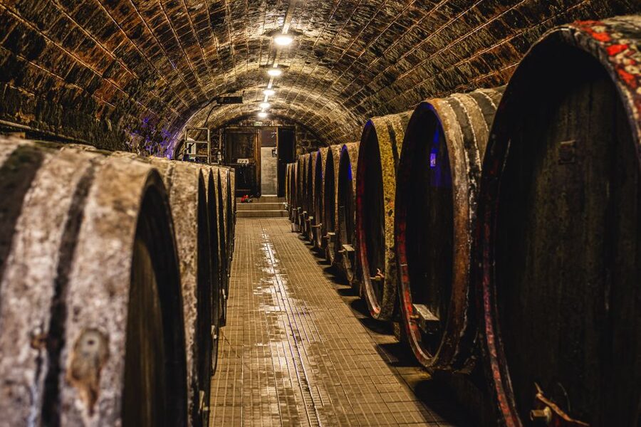 From Budapest: Mátra Hills Wine Tour - Practical details to know before you go