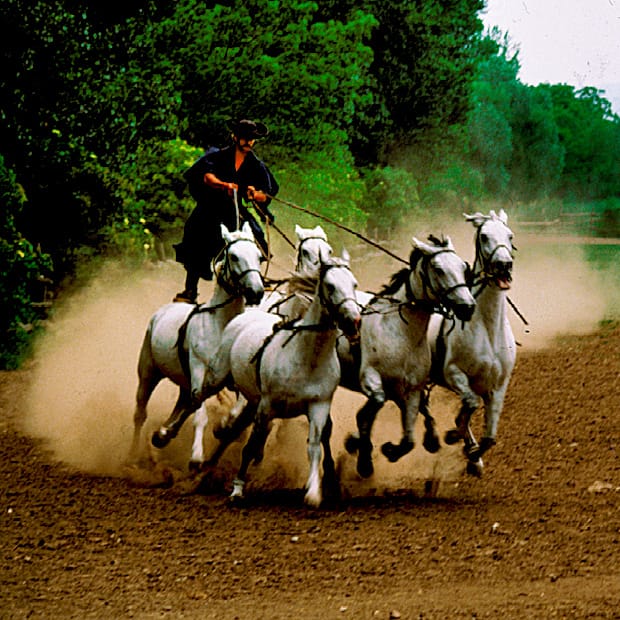 From Budapest: Puszta Horse Show and Countryside Visit - Key points to know before you book
