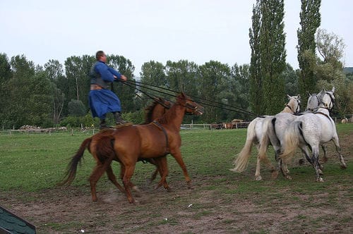 From Budapest: Puszta Horse Show and Countryside Visit - Kecskemét: one hour in a smaller Hungarian city