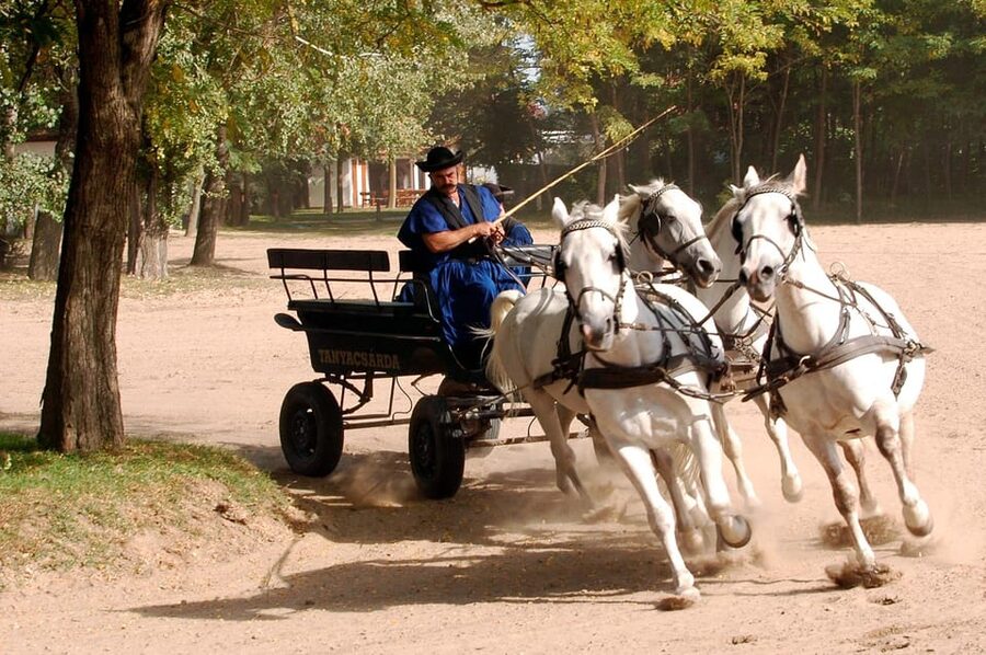 From Budapest: Puszta Horse Show and Countryside Visit - Who should book this Puszta day trip?