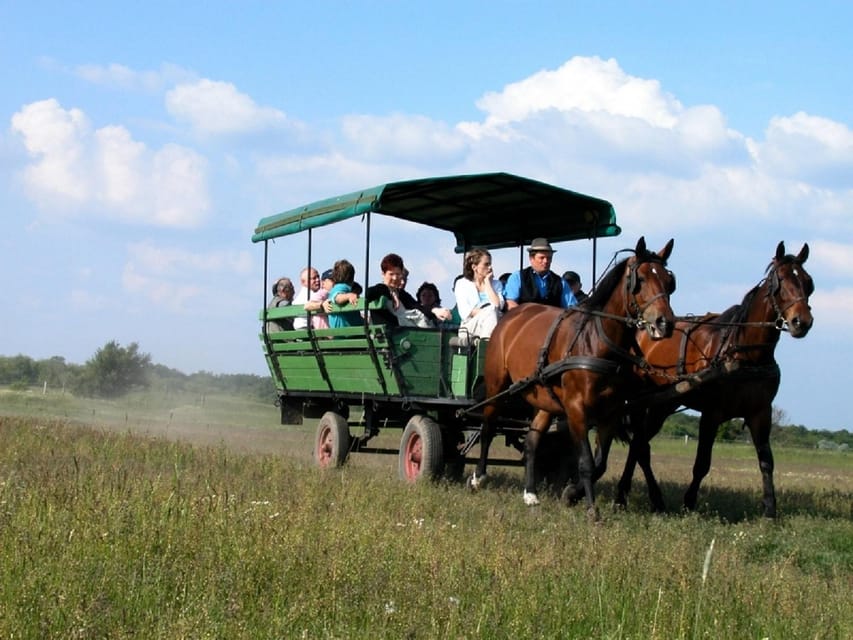From Budapest: Puszta Horse Show and Countryside Visit - Should you book the $133 excursion?