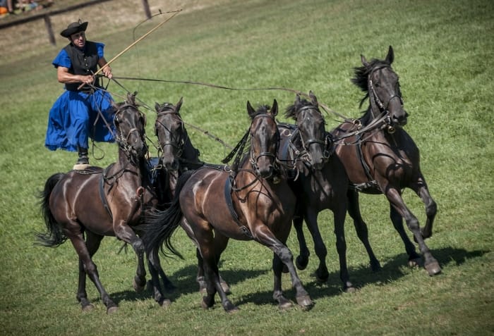 From Budapest: Puszta Horse Show and Countryside Visit - The 1.5-hour ride from Budapest