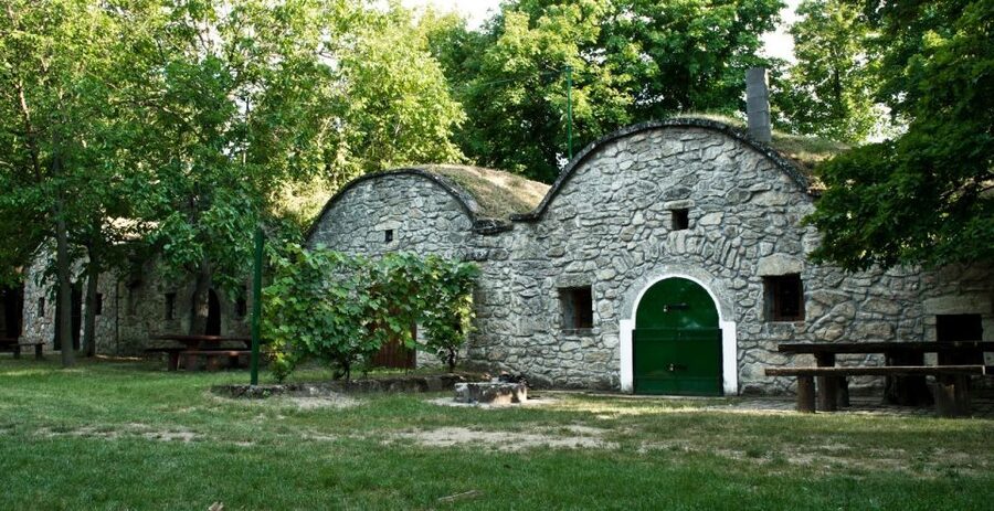 From Budpaest: Páty Wine Village Tour with Tastings - Timing, group size, and practical planning