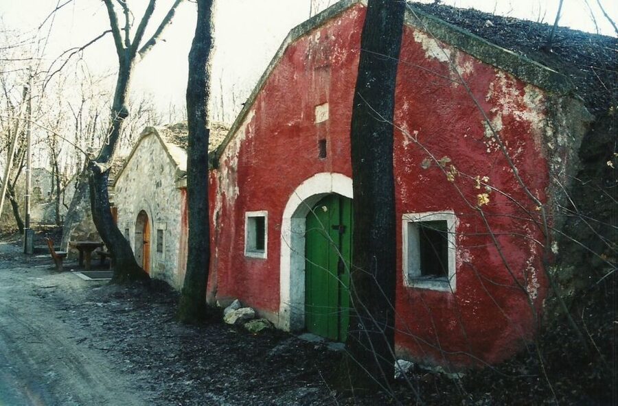 From Budpaest: Páty Wine Village Tour with Tastings - Páty’s old cellars and woodland setting